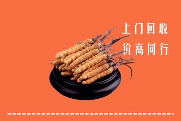 高价求购：荆州回收散虫草