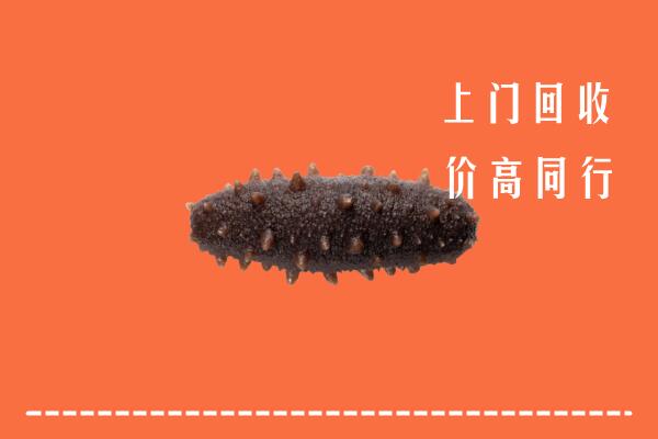 高价求购：荆州回收海参