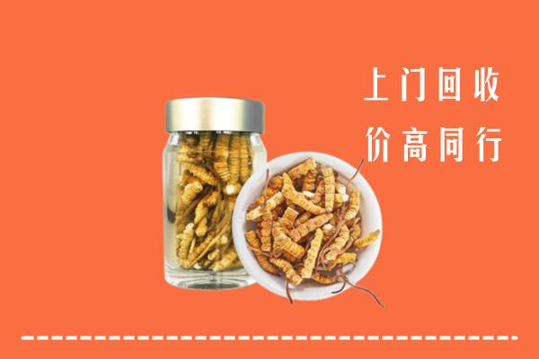 荆州回收冬虫夏草
